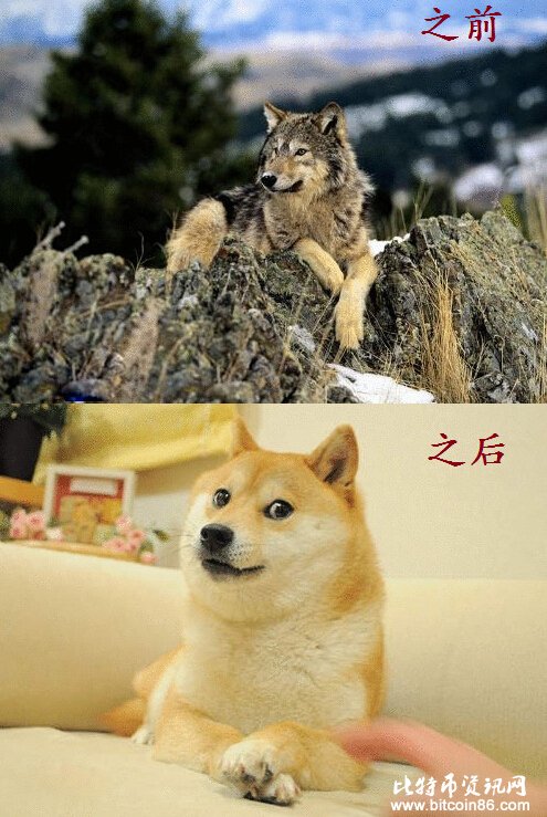 狗狗币和莱特币的混合挖矿是搭便车还是跪舔?