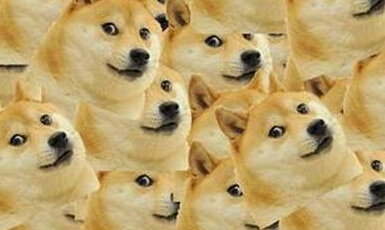 狗狗币协会会长江恩:从货币发展史看密码学货币的前景