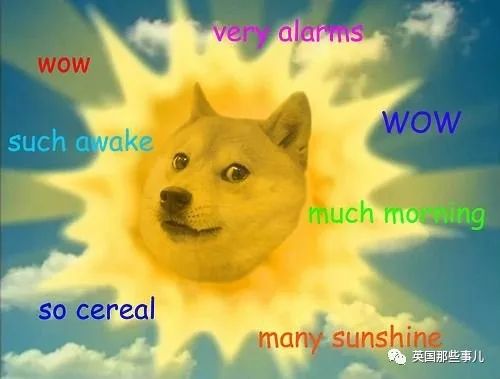 当年只是嘲讽比特币的狗狗币，现在居然市值16亿美元